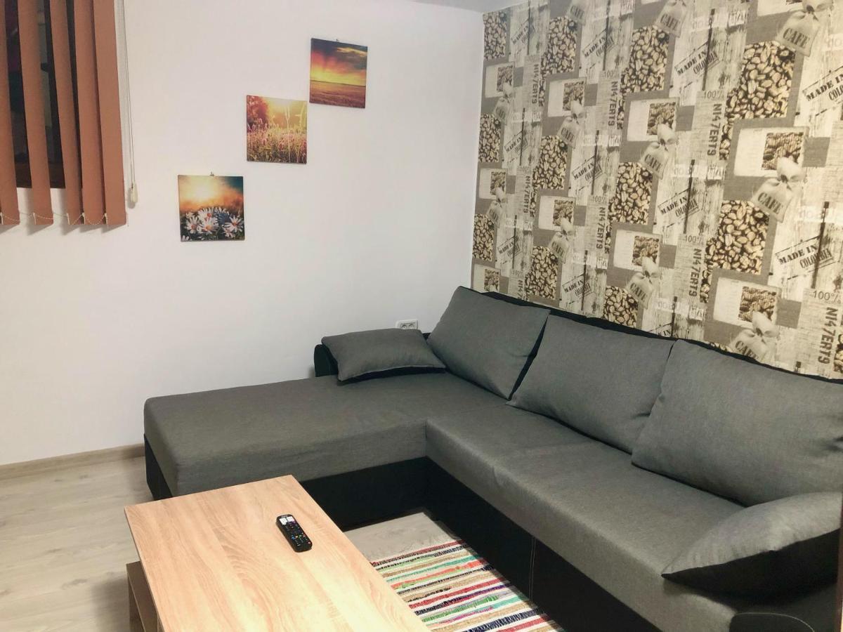 Central Park - Big Apartment - 3 Rooms - Free Parking T5 Timisoara Ngoại thất bức ảnh